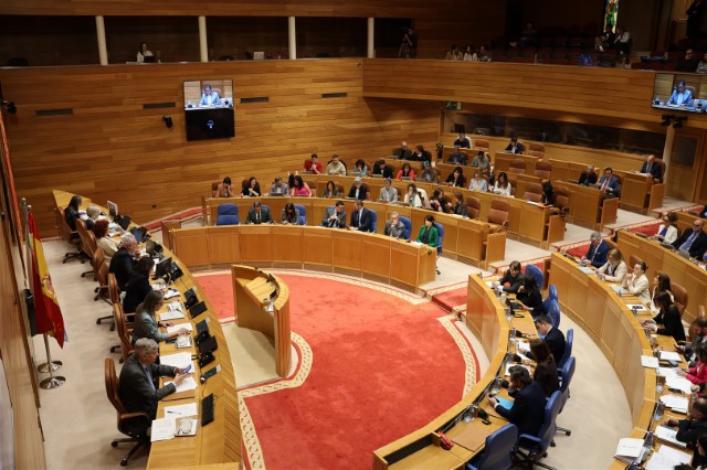Resolucións aprobadas no Debate anual sobre política xeral do 23 de abril de 2025